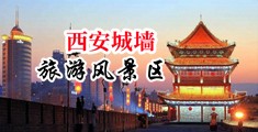 女孩在她的阴道里接受大鸡巴视频中国陕西-西安城墙旅游风景区