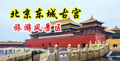 大黑鸡鸡操逼视频中国北京-东城古宫旅游风景区