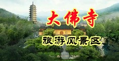 大鸡八日大黑逼中国浙江-新昌大佛寺旅游风景区
